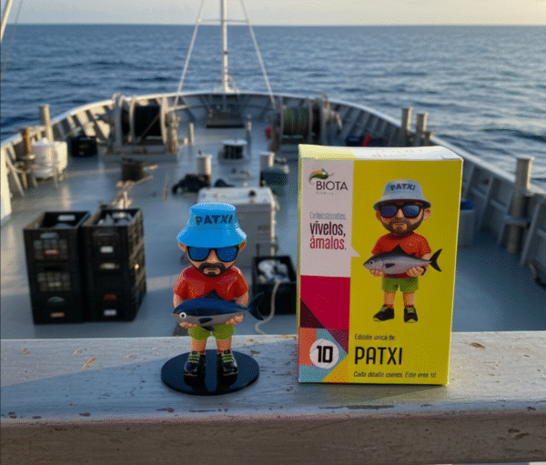 Custom MiniYou + Accessory